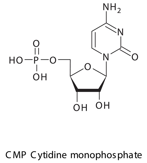 Nucleodol Pro 30 capsulas
